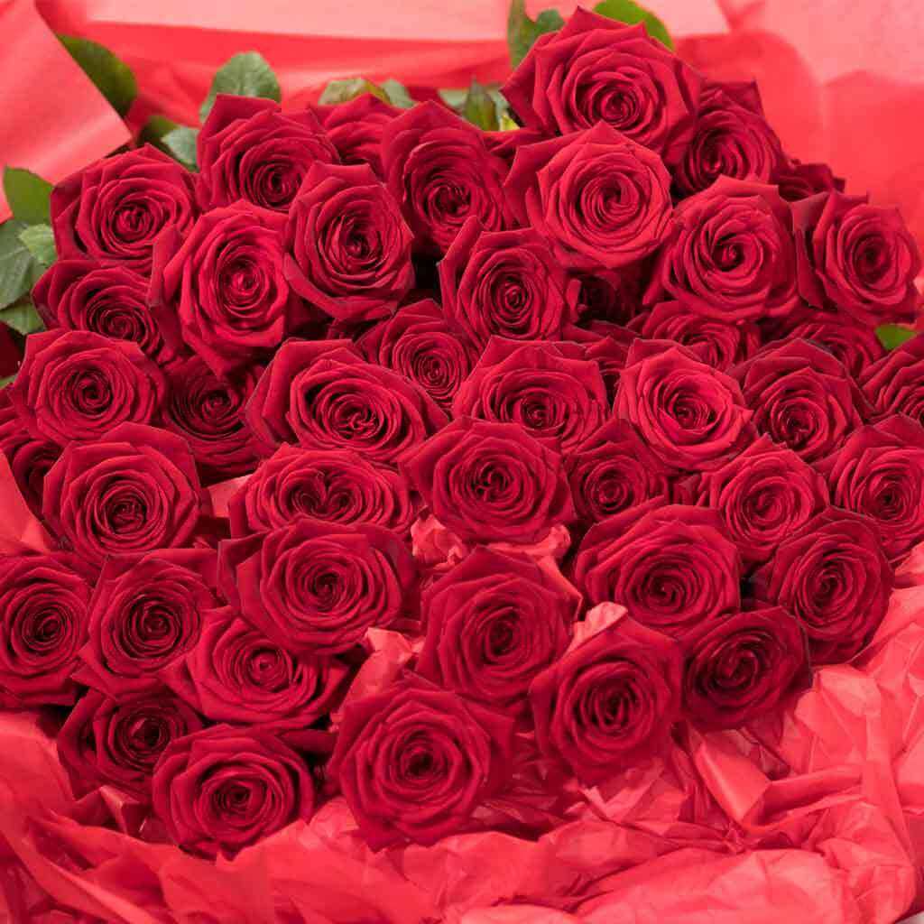 Long Stemmed Red Roses 4