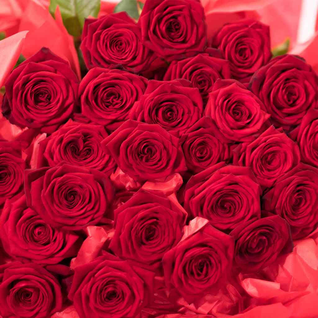 Long Stemmed Red Roses 2