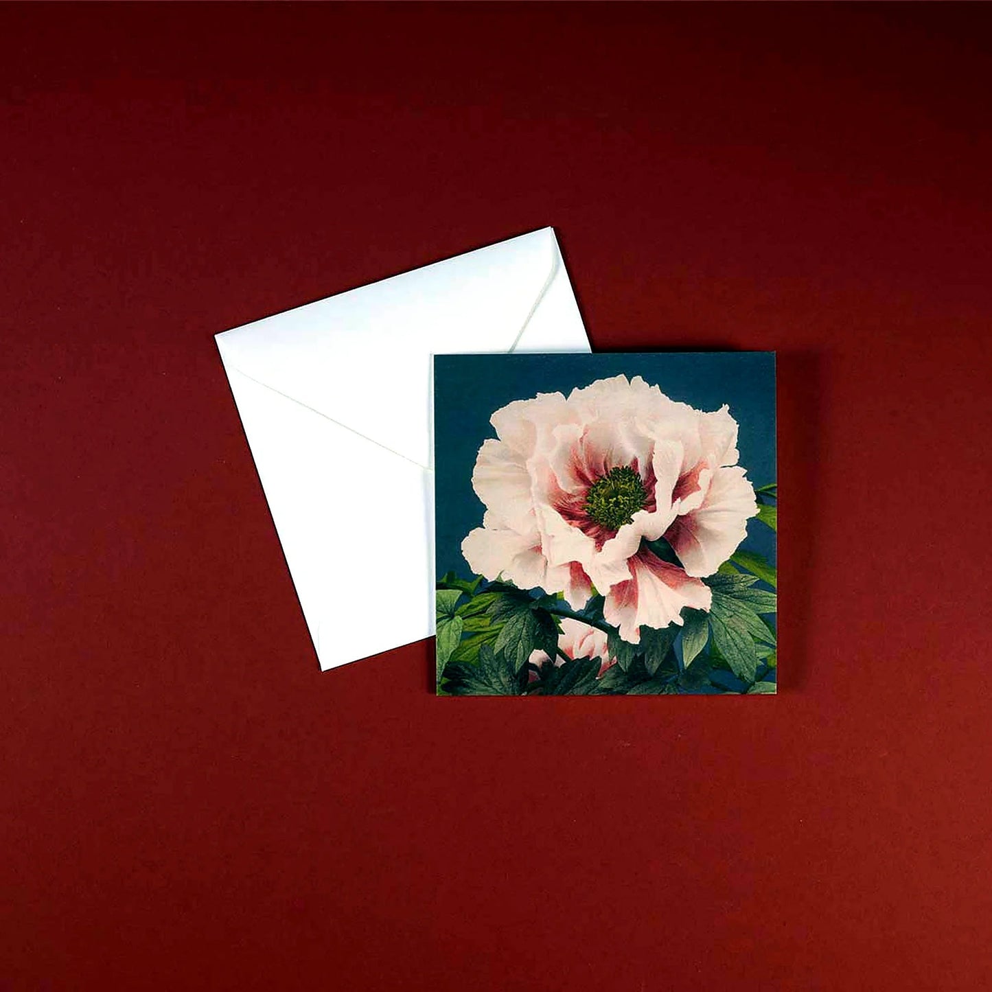 Pulbrook & Gould luxury greetings card, London florist
