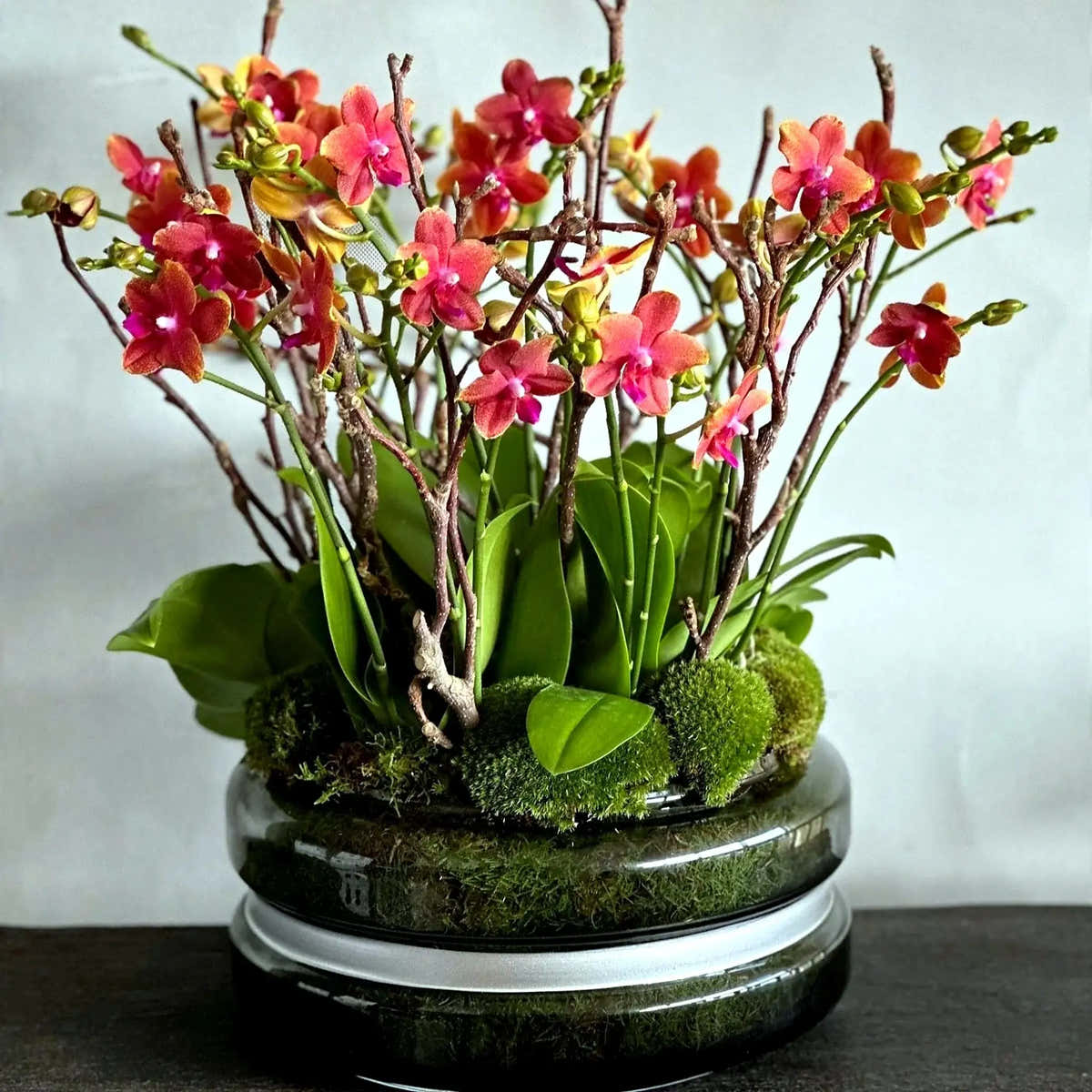 Elegant potted orchid arrangement by Pulbrook & Gould, London