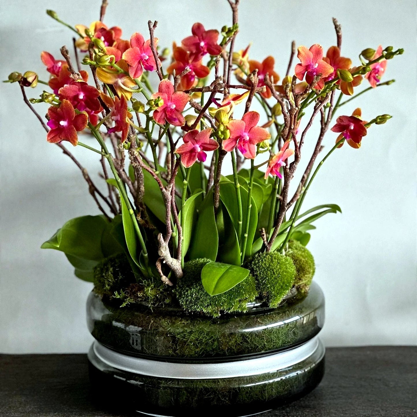 Elegant potted orchid arrangement by Pulbrook & Gould, London
