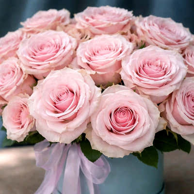 
                    
                      Blush Pink Rose Hatbox by Pulbrook and Gould with ribbon finish, featuring soft pink rose flowers
                    
                  