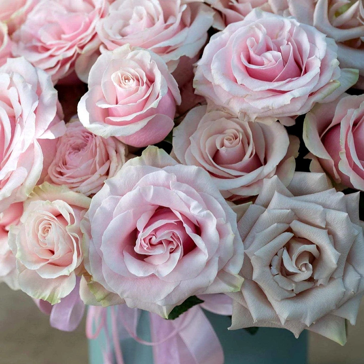 Blush Pink Rose Hatbox - roses presented in hatbox, by Pulbrook & Gould