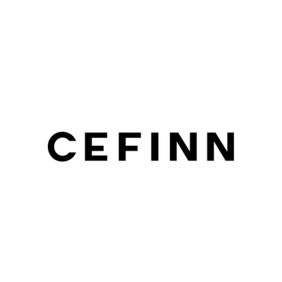 Ceiling fan controller with the word CeFInN in bold black letters on a white background