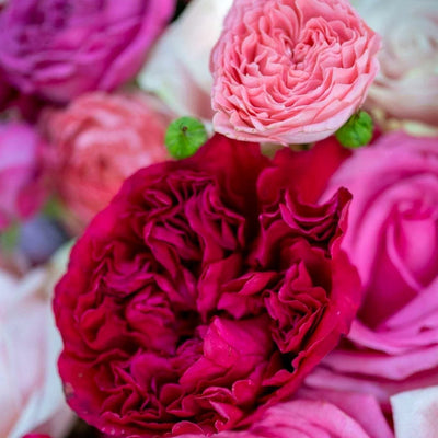 
                    
                      Chatsworth by Pulbrook and Gould hand tied bouquet with fuchsia pink roses and spray rose texture
                    
                  