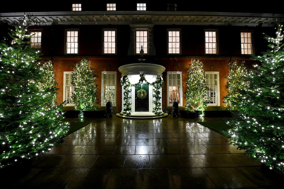 Christmas trees and festive lighting at a London townhouse entrance by Pulbrook & Gould