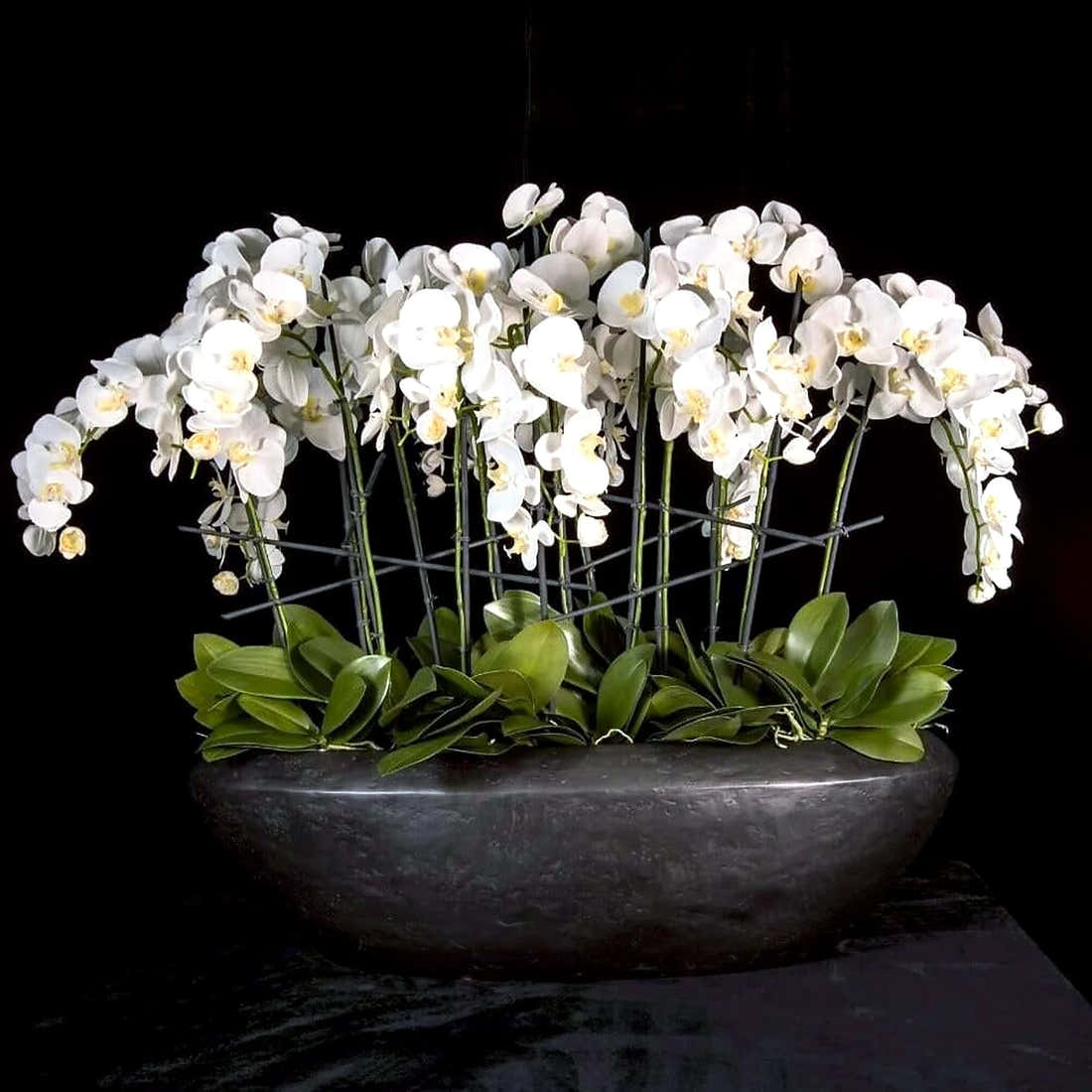 Faux Phalaenopsis Orchid Arrangement by Pulbrook and Gould, white artificial silk orchid in oval planter