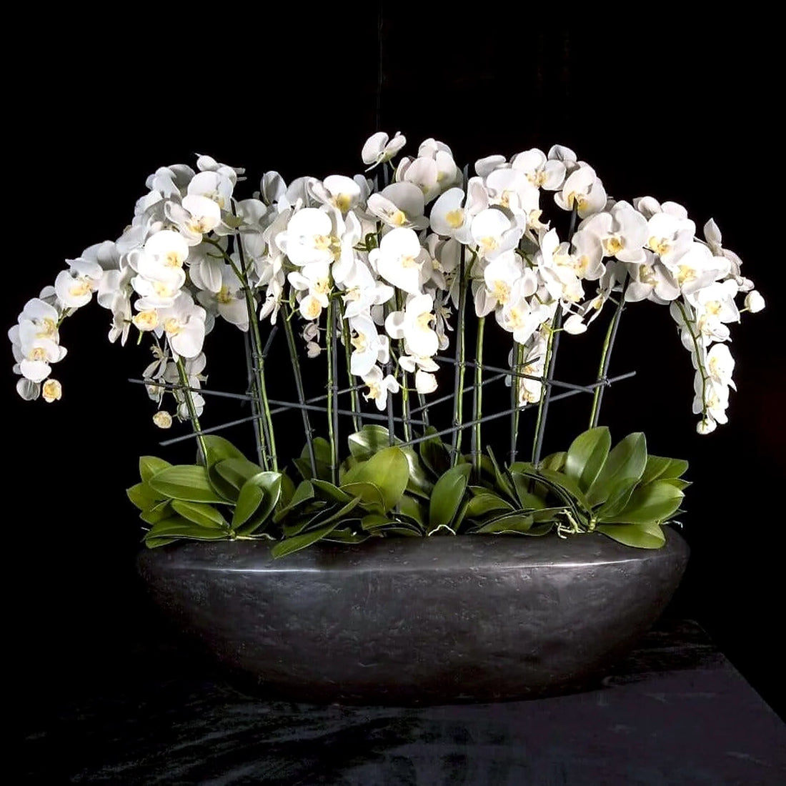 Faux Phalaenopsis Orchid Arrangement by Pulbrook and Gould, white artificial silk orchid in oval planter
