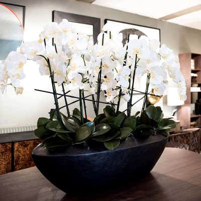 
                    
                      Faux Phalaenopsis Orchid Arrangement by Pulbrook and Gould, white artificial silk flowers in an oval planter
                    
                  