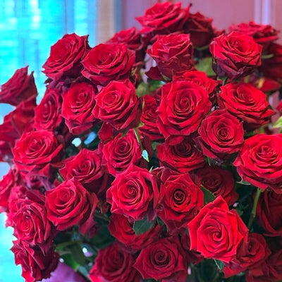 
                    
                      Long-Stemmed Roses Pulbrook and Gould fresh-cut long-stem roses bouquet in red with hand-selected blooms
                    
                  