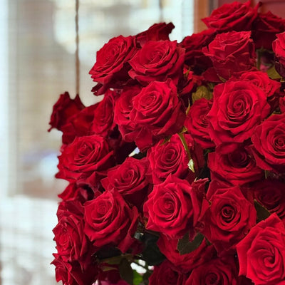 
                    
                      Long-Stemmed Roses by Pulbrook and Gould, red fresh cut long stem roses bouquet with hand selected blooms
                    
                  