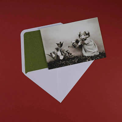 
                    
                      Luxury Greeting Cards by Pulbrook Gould, A5 vintage botanical notecard with handwritten message service
                    
                  
