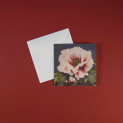 
                    
                      Luxury Greeting Cards by Pulbrook Gould in A5 size with vintage botanical flower illustration and blank interior
                    
                  