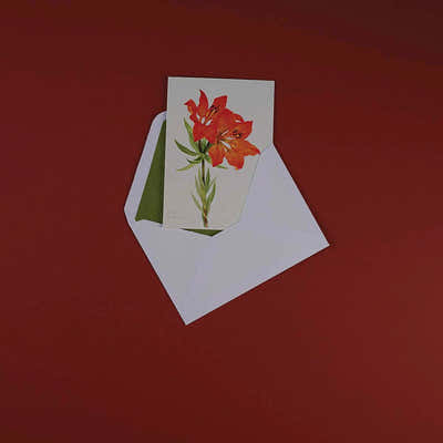 
                    
                      Luxury Greeting Cards by Pulbrook and Gould, vintage botanical notecard with red lilies on white card
                    
                  