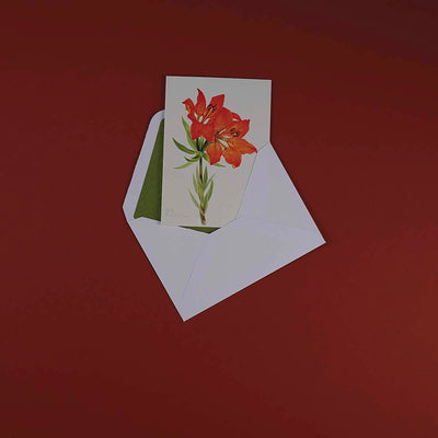 
                    
                      Luxury Greeting Cards by Pulbrook and Gould, vintage botanical notecard with red lilies on white card
                    
                  