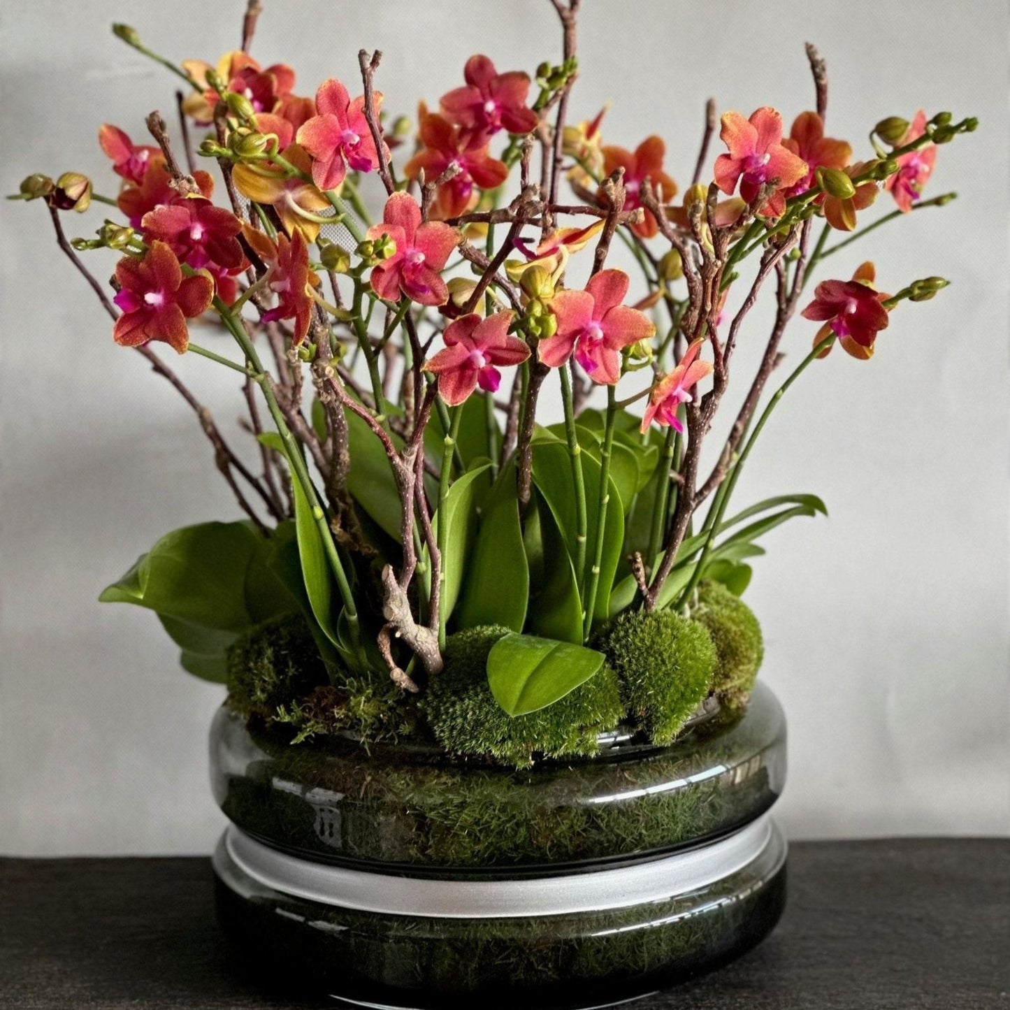 Multiple miniature orange and coral phalaenopsis orchid stems with branching twigs planted in a low dark green glass bowl with green moss by Pulbrook & Gould London
