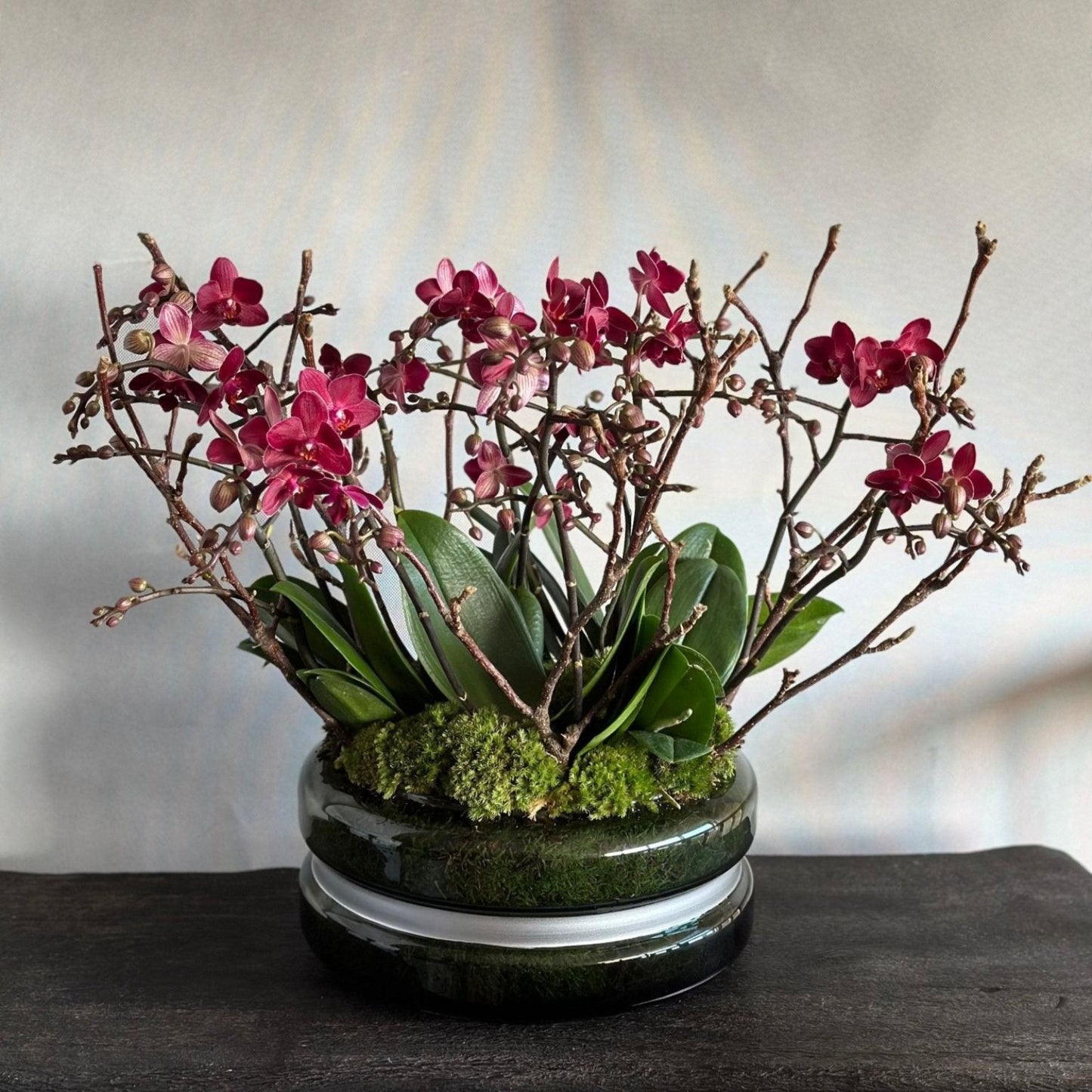 Multiple miniature deep red phalaenopsis orchid stems with branching twigs planted in a low dark green glass bowl with green moss by Pulbrook & Gould London