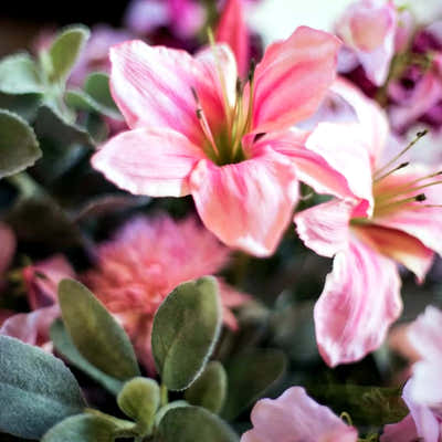 
                    
                      Mixed Silk Dusty Pink Arrangement by Pulbrook Gould faux silk flower arrangement in ceramic vessel
                    
                  