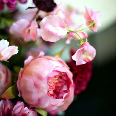 
                    
                      Mixed Silk Dusty Pink Arrangement by Pulbrook Gould faux silk flower arrangement in ceramic vessel
                    
                  