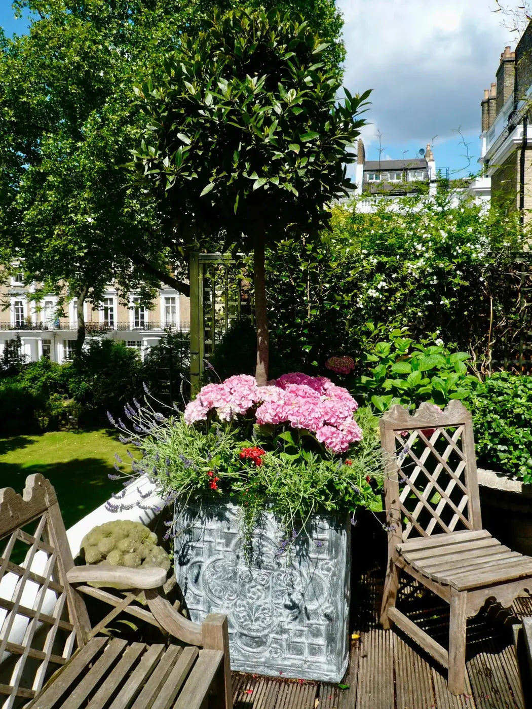 Lush terrace planting designed for a London garden, by Pulbrook & Gould