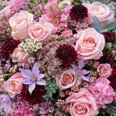 
                    
                      Radiant Pastels by Pulbrook and Gould hand-tied bouquet in pastel pink and burgundy with roses, scabiosa and carnations
                    
                  