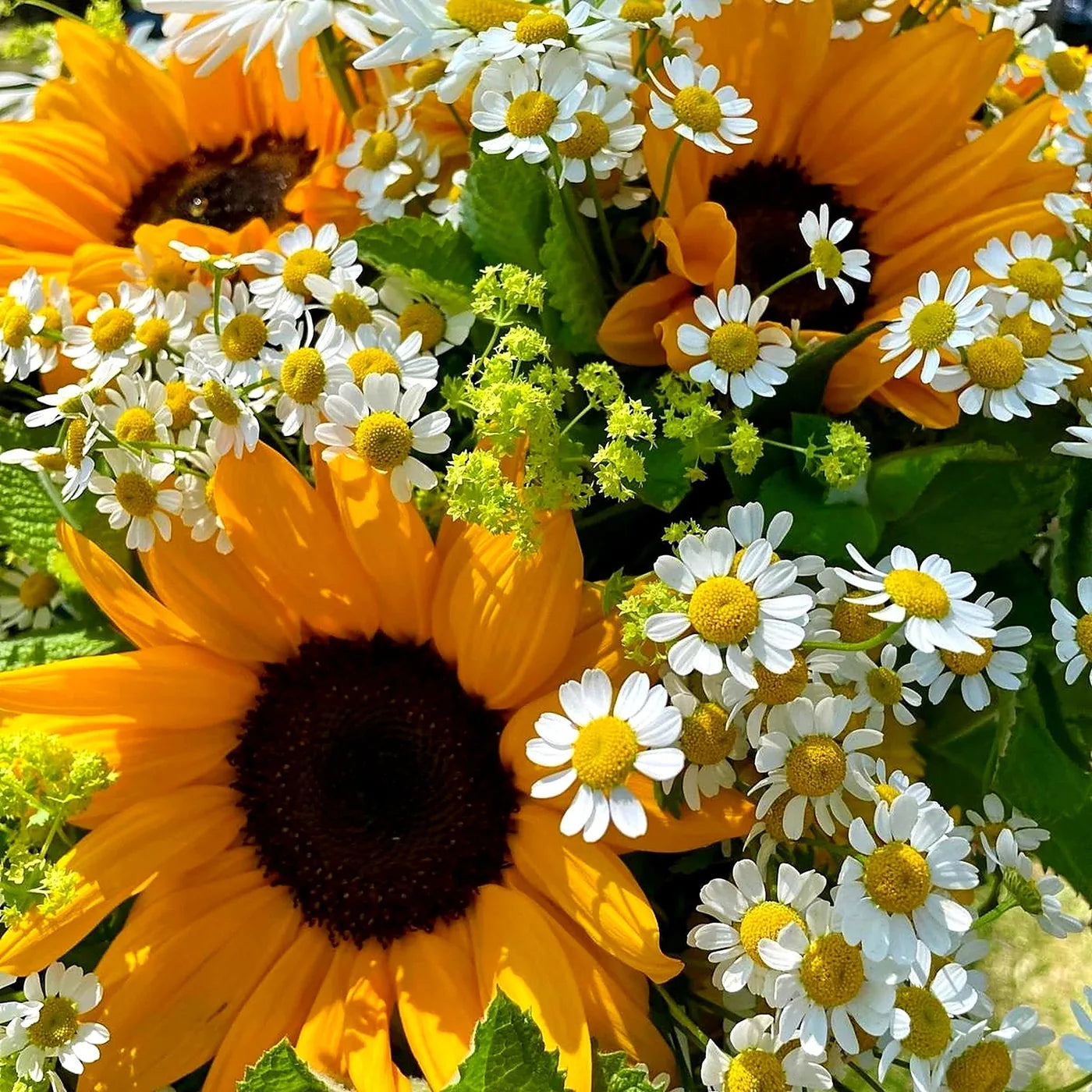Summer Classics bouquet detail, London luxury florist Pulbrook & Gould