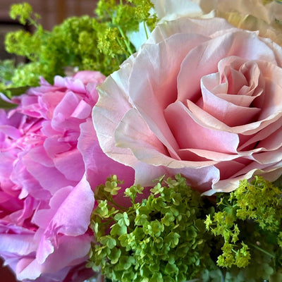 
                    
                      Summer Mornings Posy by Pulbrook and Gould hand-tied posy of fresh cut flowers in pale pink and green
                    
                  