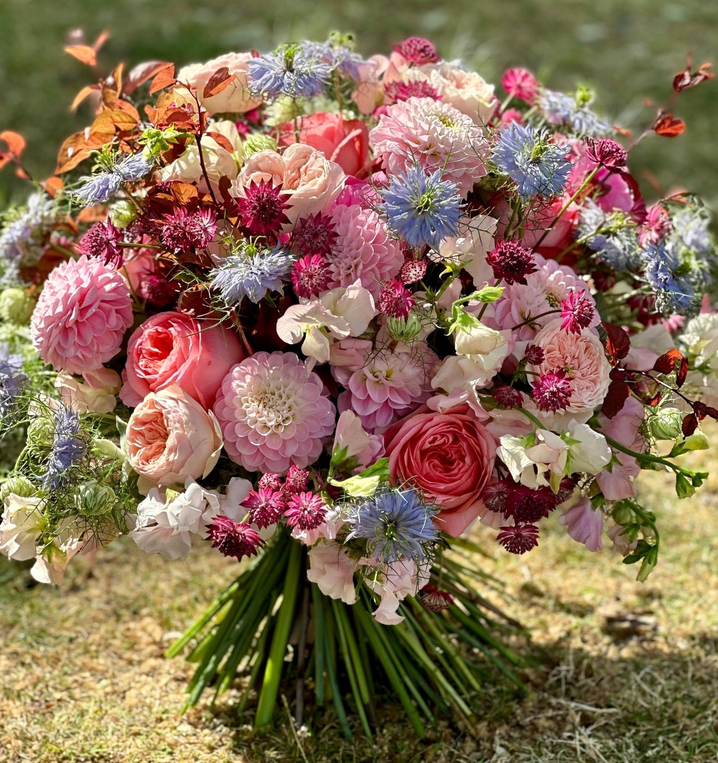 Summer Pastels - Pulbrook & Gould