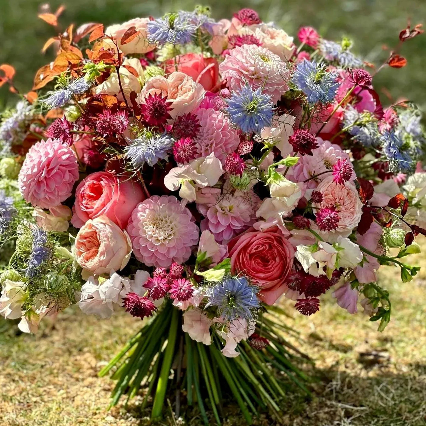 Summer Pastels Pulbrook and Gould hand-tied bouquet in pastel pink, blue and red with fresh-cut flowers
