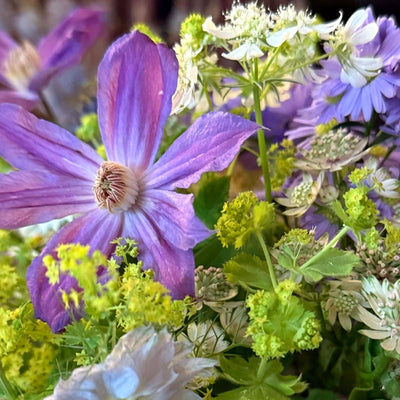 
                    
                      Summer Posy by Pulbrook Gould hand tied posy bouquet in lilac with fresh cut flowers and greenery
                    
                  