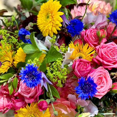 
                    
                      Summer Vibrations by Pulbrook Gould hand-tied bouquet with pink roses, blue cornflowers and yellow gerberas
                    
                  