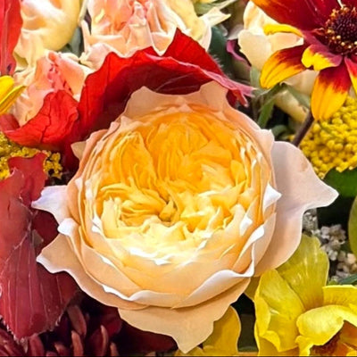 
                    
                      The Windsor by Pulbrook Gould hand tied bouquet arrangement in warm autumnal reds, oranges and yellows
                    
                  