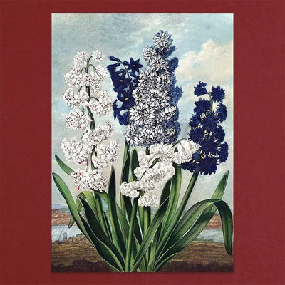 
                    
                      Tolstoy Gallery Greetings Card Box Set- Exotic Flowers by Pulbrook and Gould with handmade paper box packaging
                    
                  