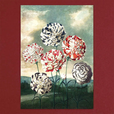 
                    
                      Tolstoy Gallery Greetings Card Box Set Exotic Flowers by Pulbrook and Gould with lined envelopes and handmade paper box
                    
                  