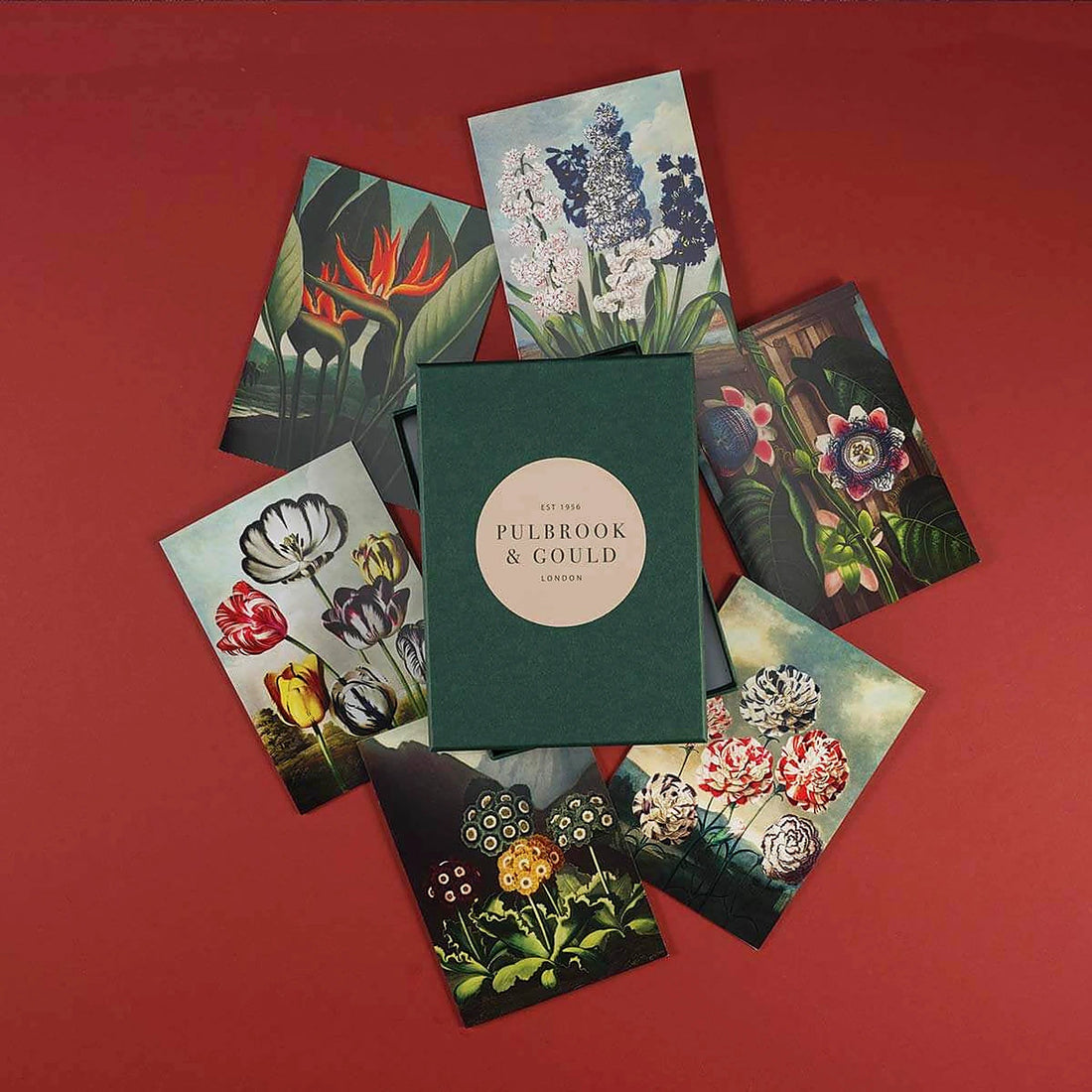 Tolstoy Gallery Greetings Card Box Set- Exotic Flowers by Pulbrook Gould, handmade paper box packaging