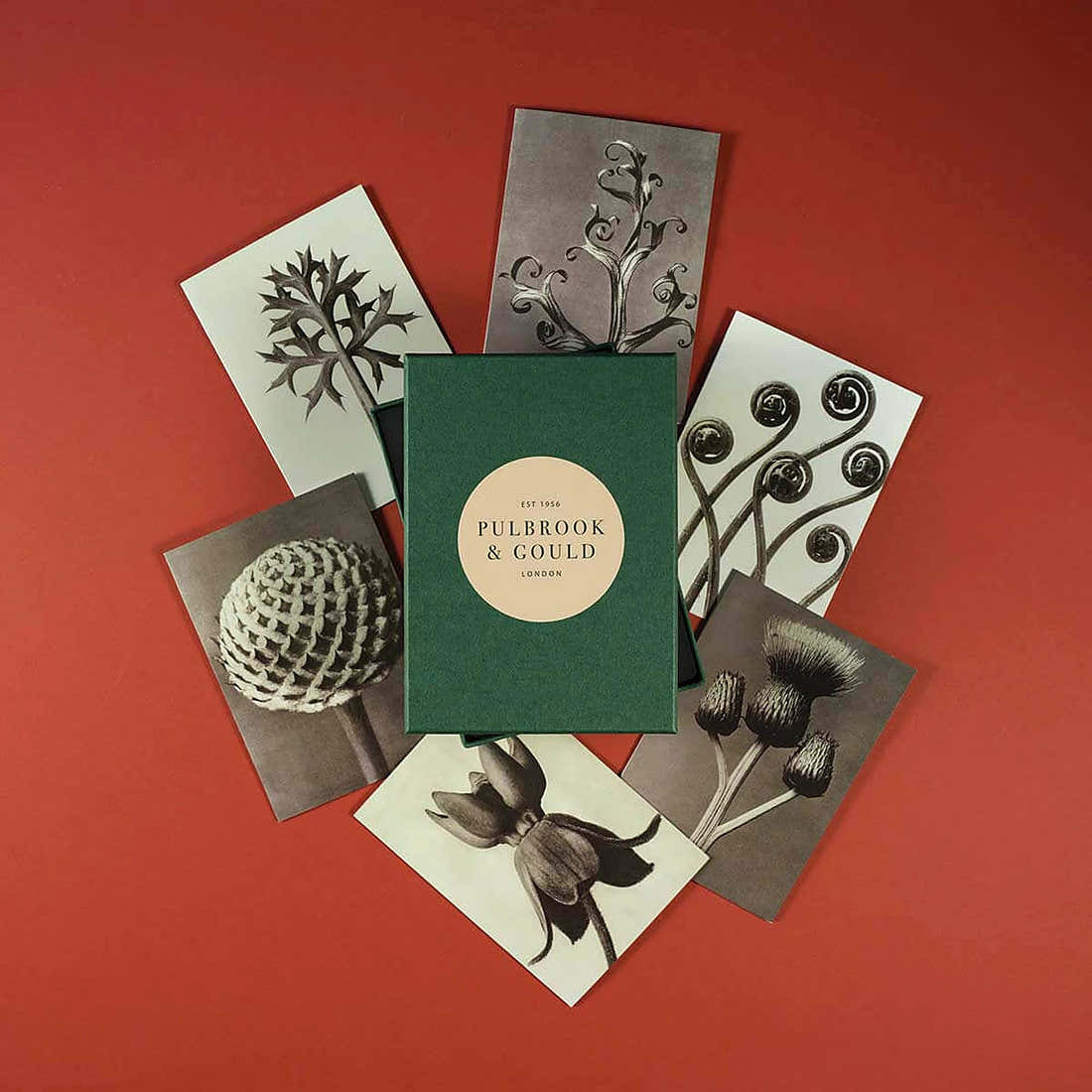 Tolstoy Gallery Greetings Card Box Set Flora by Pulbrook and Gould with matching envelopes, botanical artwork