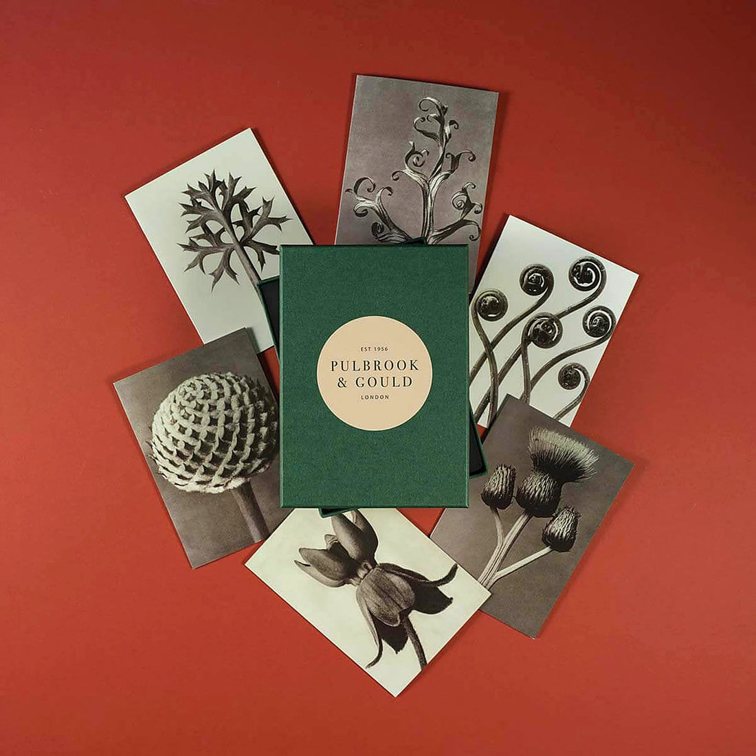 Tolstoy Gallery Greetings Card Box Set Flora by Pulbrook and Gould with matching envelopes, botanical artwork