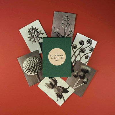 
                    
                      Tolstoy Gallery Greetings Card Box Set Flora by Pulbrook and Gould with matching envelopes, botanical artwork
                    
                  