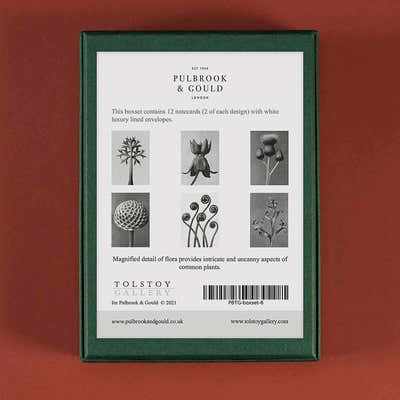 
                    
                      Tolstoy Gallery Greetings Card Box Set Flora by Pulbrook and Gould in green with botanical flora notecards
                    
                  