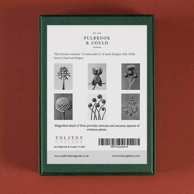 
                    
                      Tolstoy Gallery Greetings Card Box Set Flora by Pulbrook and Gould in green with botanical flora notecards
                    
                  