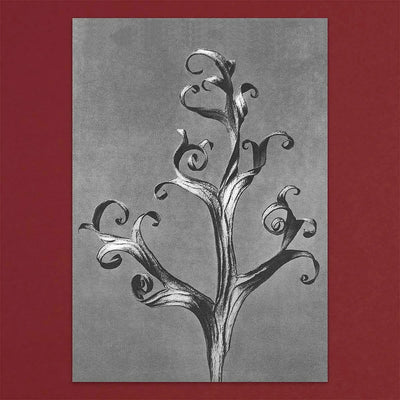 
                    
                      Tolstoy Gallery Greetings Card Box Set Flora by Pulbrook and Gould with silver botanical scroll artwork
                    
                  