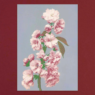 
                    
                      Tolstoy Gallery Greetings Card Box Set Flowers by Pulbrook and Gould, pink floral notecards in a box
                    
                  