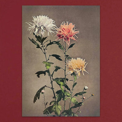 
                    
                      Tolstoy Gallery Greetings Card Box Set Flowers by Pulbrook and Gould, floral notecards with 19th century print style
                    
                  
