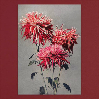 
                    
                      Tolstoy Gallery Greetings Card Box Set Flowers by Pulbrook and Gould with red and pink floral notecards
                    
                  