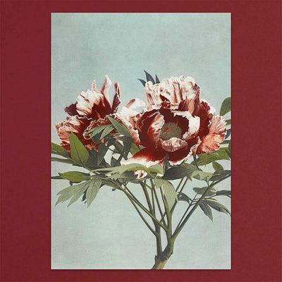 
                    
                      Tolstoy Gallery Greetings Card Box Set Flowers by Pulbrook and Gould with floral 19th century print design
                    
                  