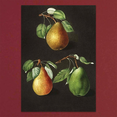 
                    
                      Tolstoy Gallery Greetings Card Box Set- Fruits by Pulbrook and Gould, illustrated fruit cards in a black box
                    
                  