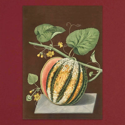 
                    
                      Tolstoy Gallery Greetings Card Box Set Fruits by Pulbrook and Gould with illustrated fruit notecards in a gift box
                    
                  