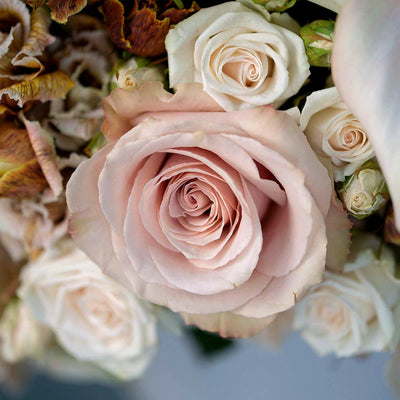 
                    
                      Vintage Hatbox by Pulbrook and Gould floral gift arrangement with pale pink roses and champagne roses
                    
                  