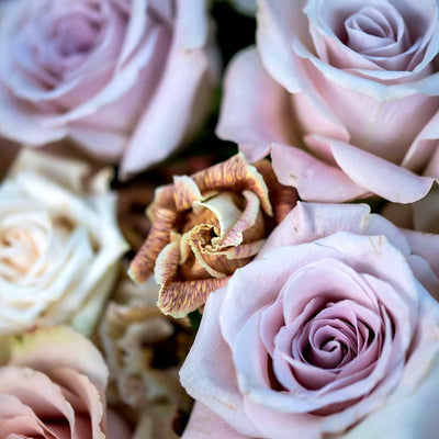 
                    
                      Vintage Hatbox by Pulbrook and Gould gift floral centerpiece hatbox with pale pink roses and champagne roses
                    
                  