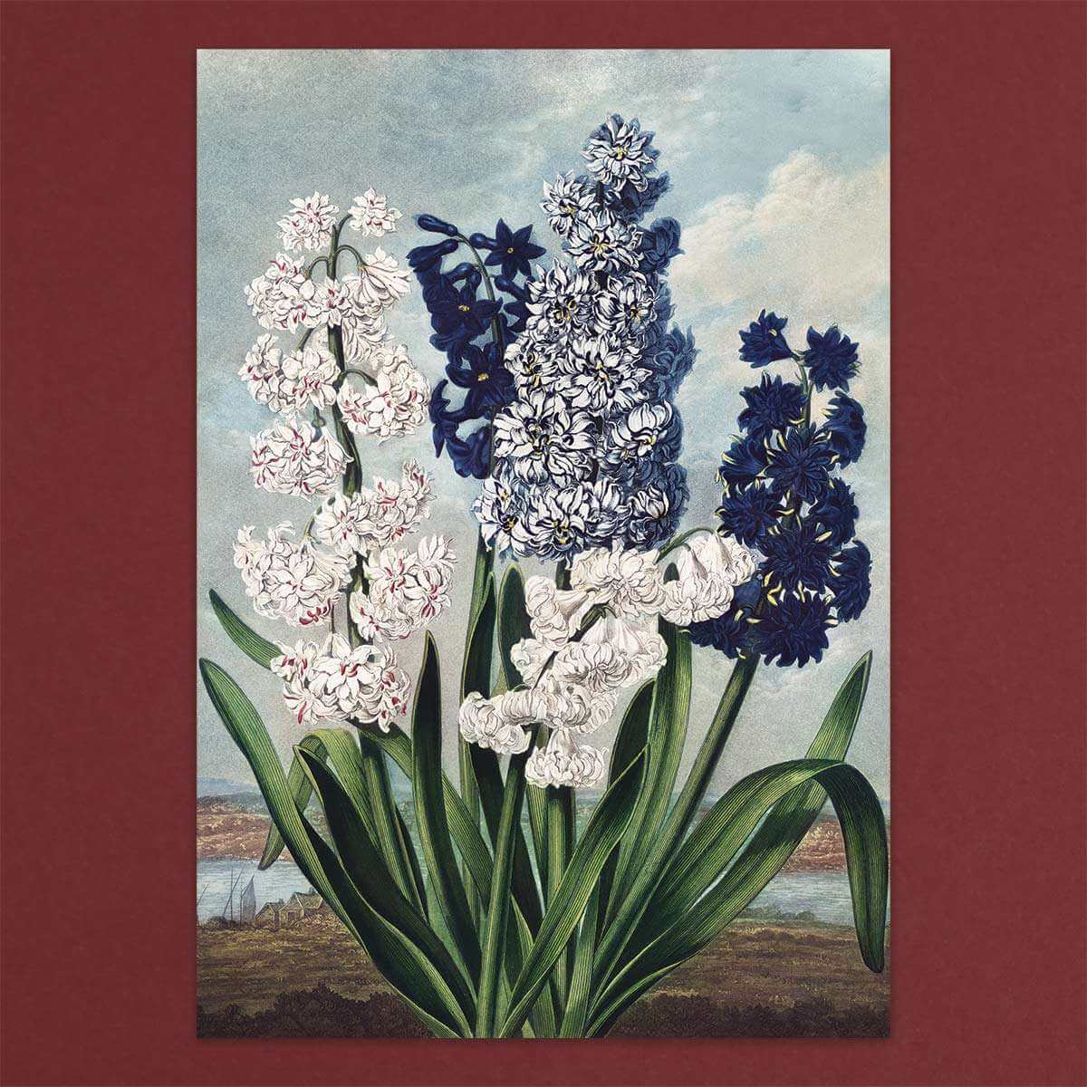 Load image into Gallery viewer, Gift Card Box set - Exotic flowers - Pulbrook and Gould Flowers London

